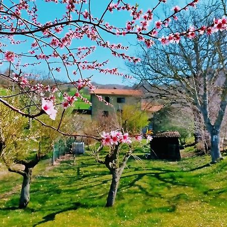 بريميلكوري B&B Luna E Stelle المظهر الخارجي الصورة