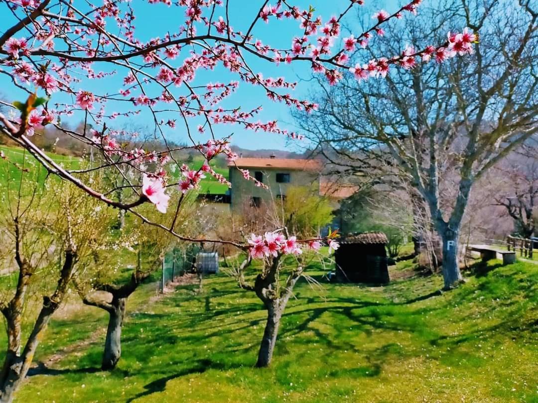 بريميلكوري B&B Luna E Stelle المظهر الخارجي الصورة