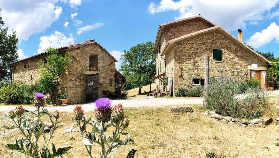 بريميلكوري B&B Luna E Stelle المظهر الخارجي الصورة